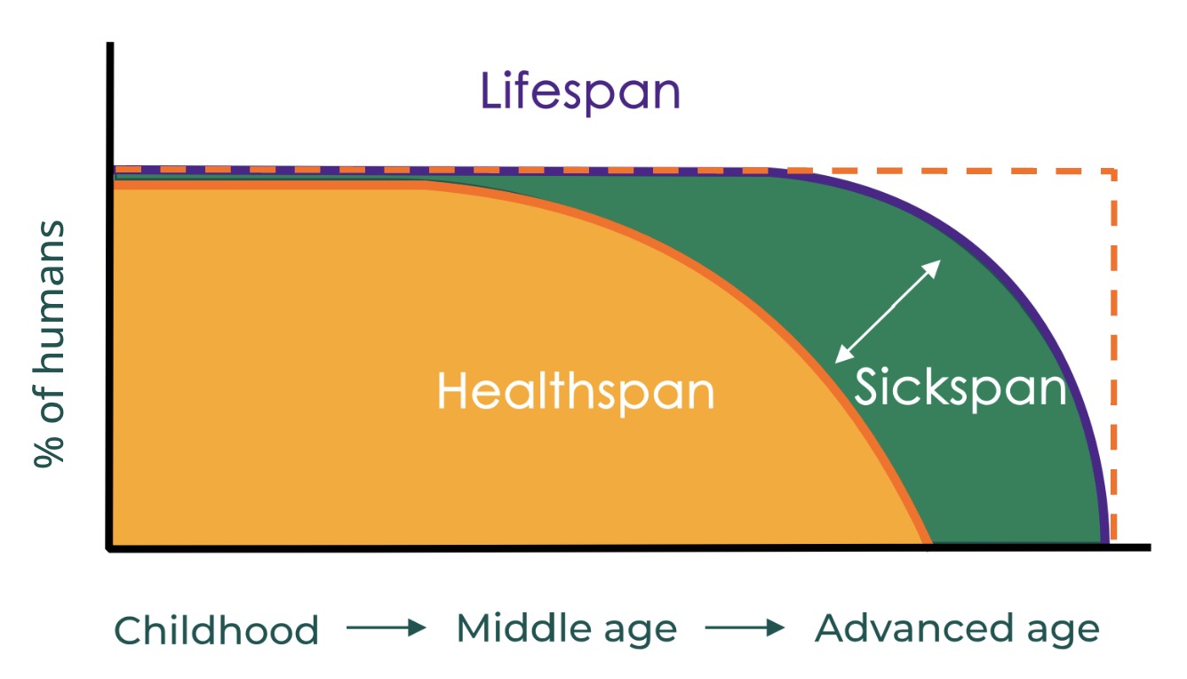 Healthspan vs lifespan