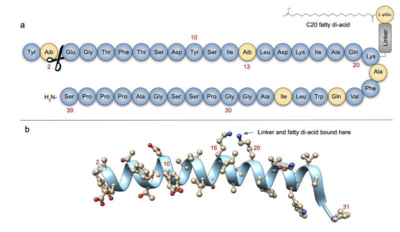 Tirzepatide Structure